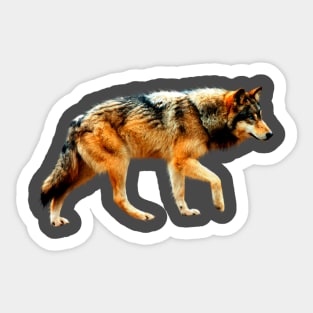 Wild Wolf Sticker